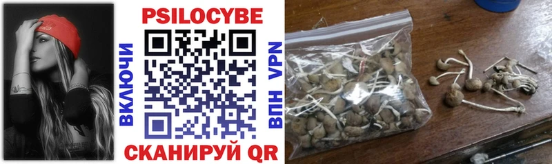 Псилоцибиновые грибы Psilocybine cubensis  Лебедянь 
