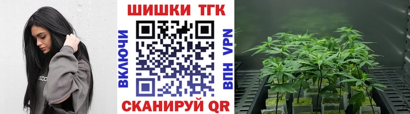 Канабис тримм  наркота  Лебедянь 